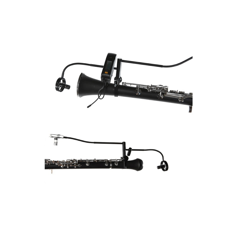 Mic Applied Microphone Technology WS