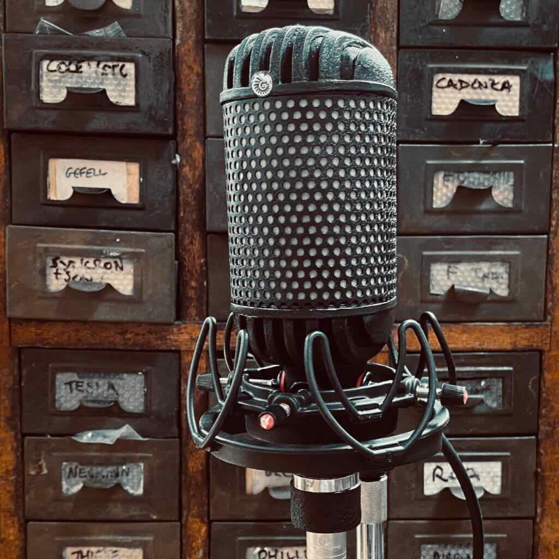 Mic Extinct Audio 4033x