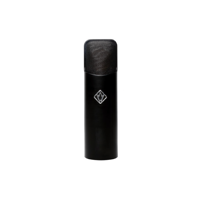 Mic Vertical Microphones The Space